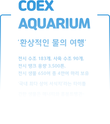 메인비쥬얼 텍스트