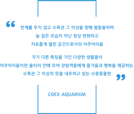 플레이 그라운드