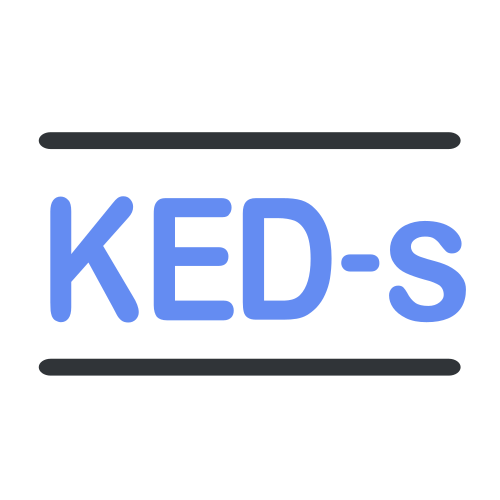KED-S 검사